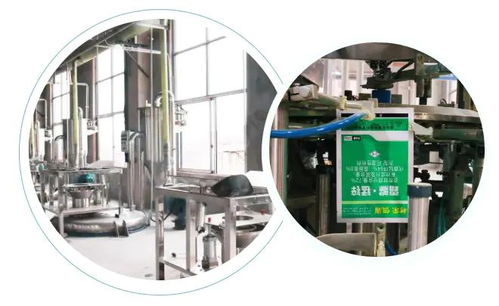 智能驅(qū)動(dòng)，水務(wù)革新 重慶樹榮長壽區(qū)無人化新工廠正式投產(chǎn)